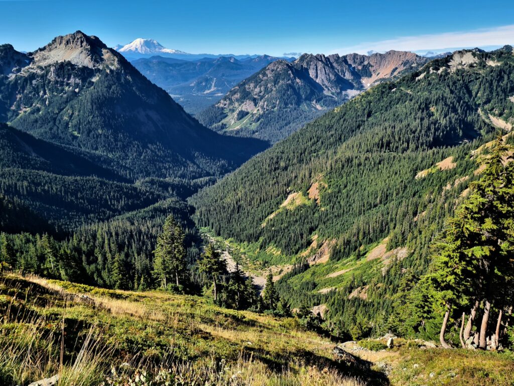 Mount Rainier mit Bergziege