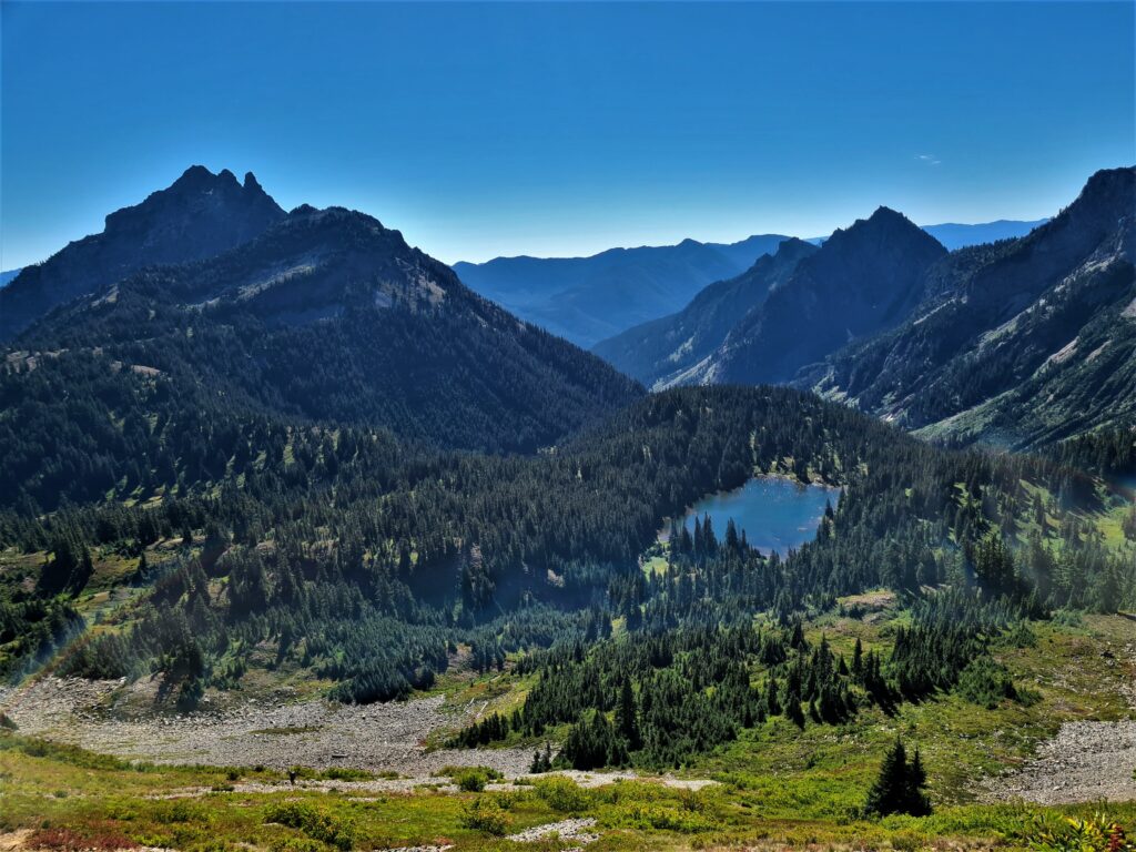 PCT Tag 100