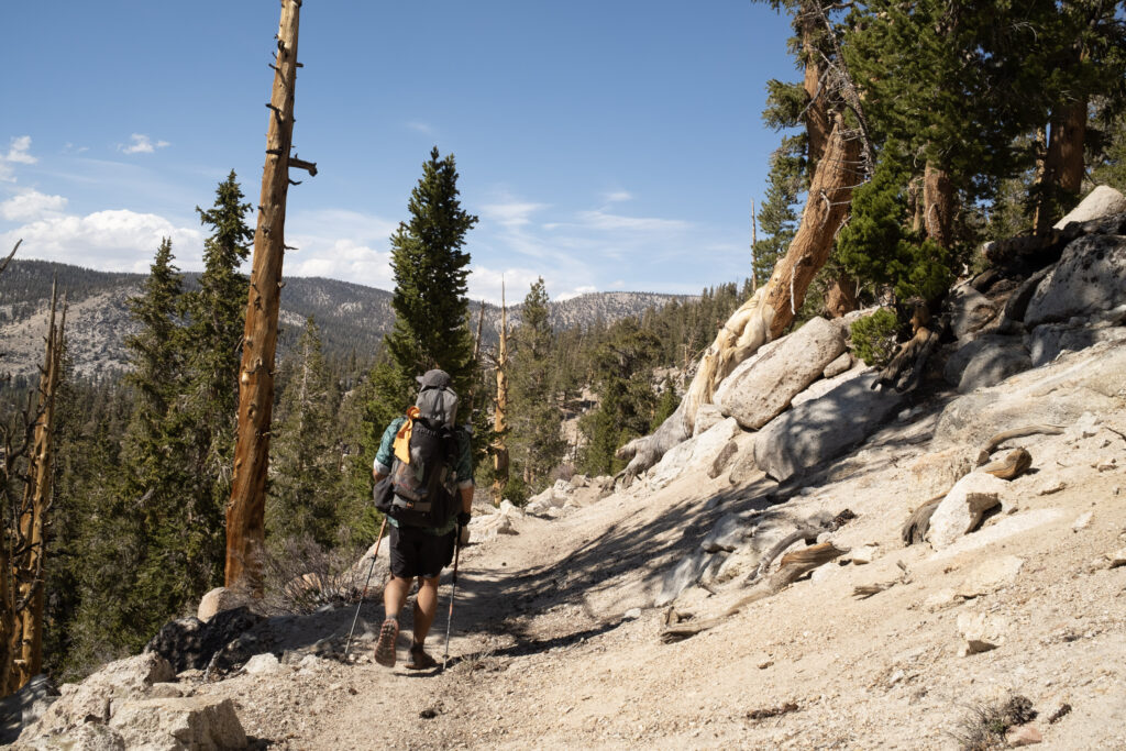 PCT Tag 42