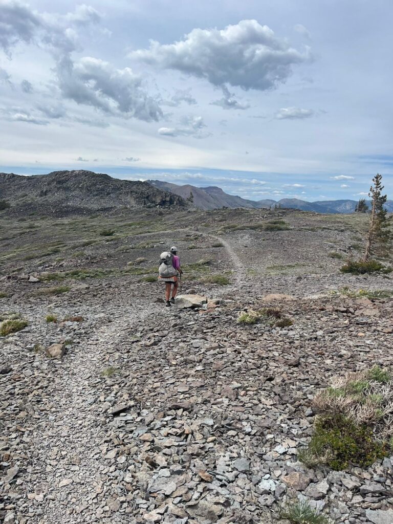 Auf dem Weg zum Sonora Pass
