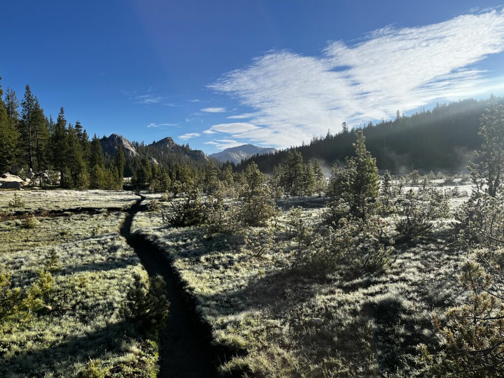 PCT Tag 60