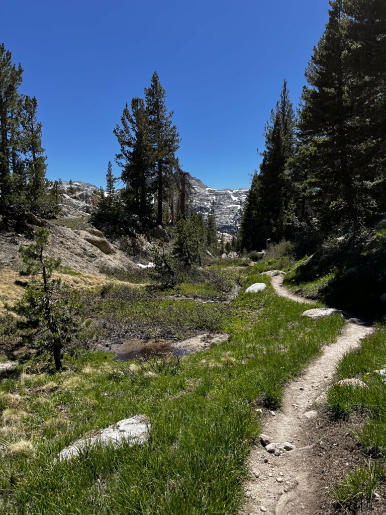 PCT Tag 60