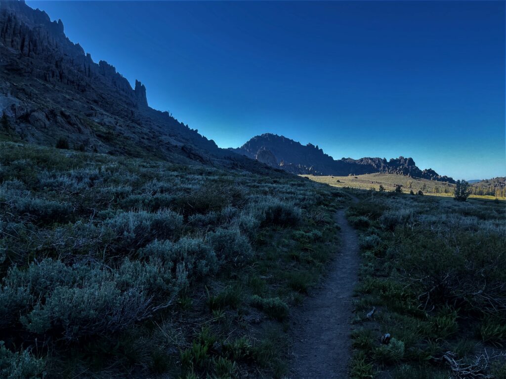 PCT Tag 65