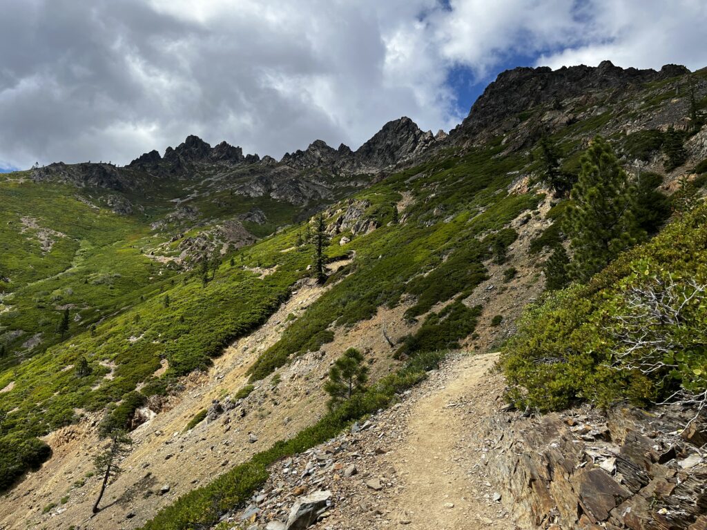 PCT Tag 74