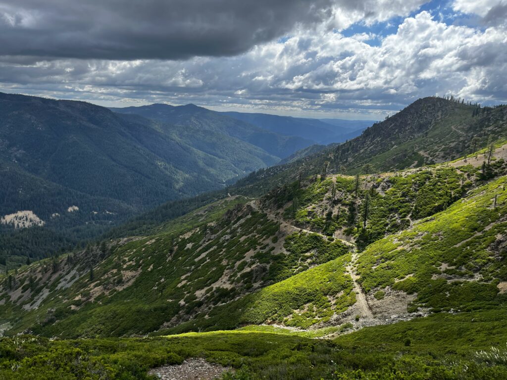 PCT Tag 74