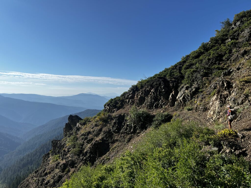 PCT Tag 82