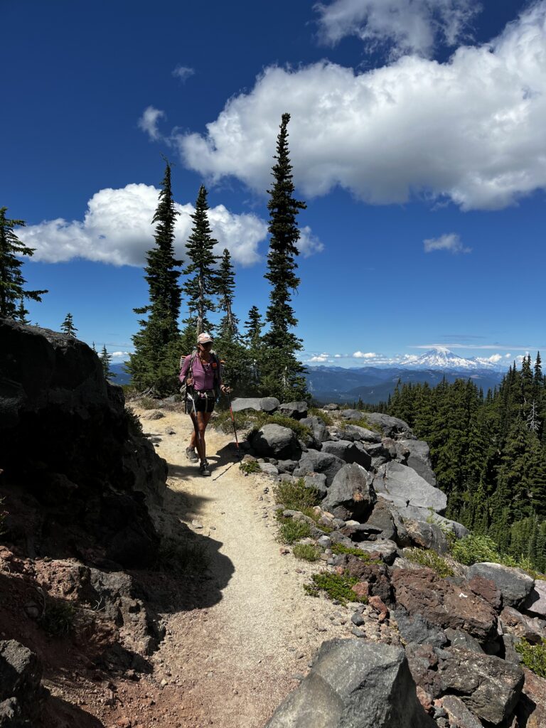PCT Tag 91