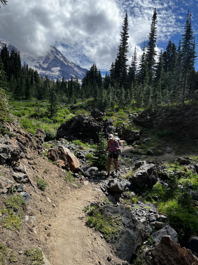 PCT Tag 91