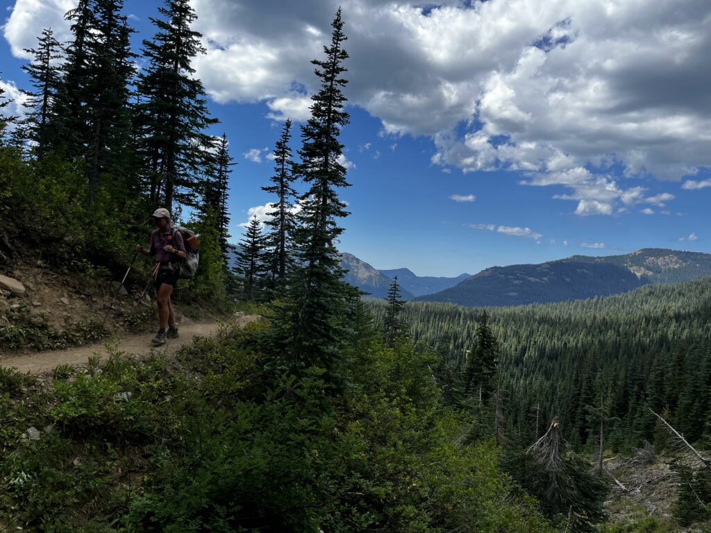 PCT Tag 92
