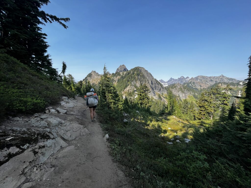 PCT Tag 99