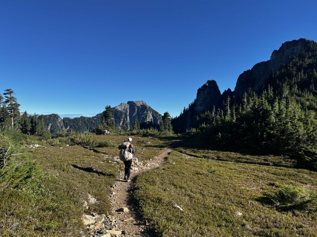 PCT Tag 100