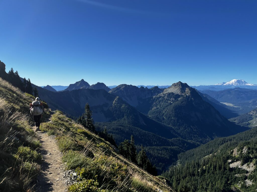 Ausblick auf Mount Rainier