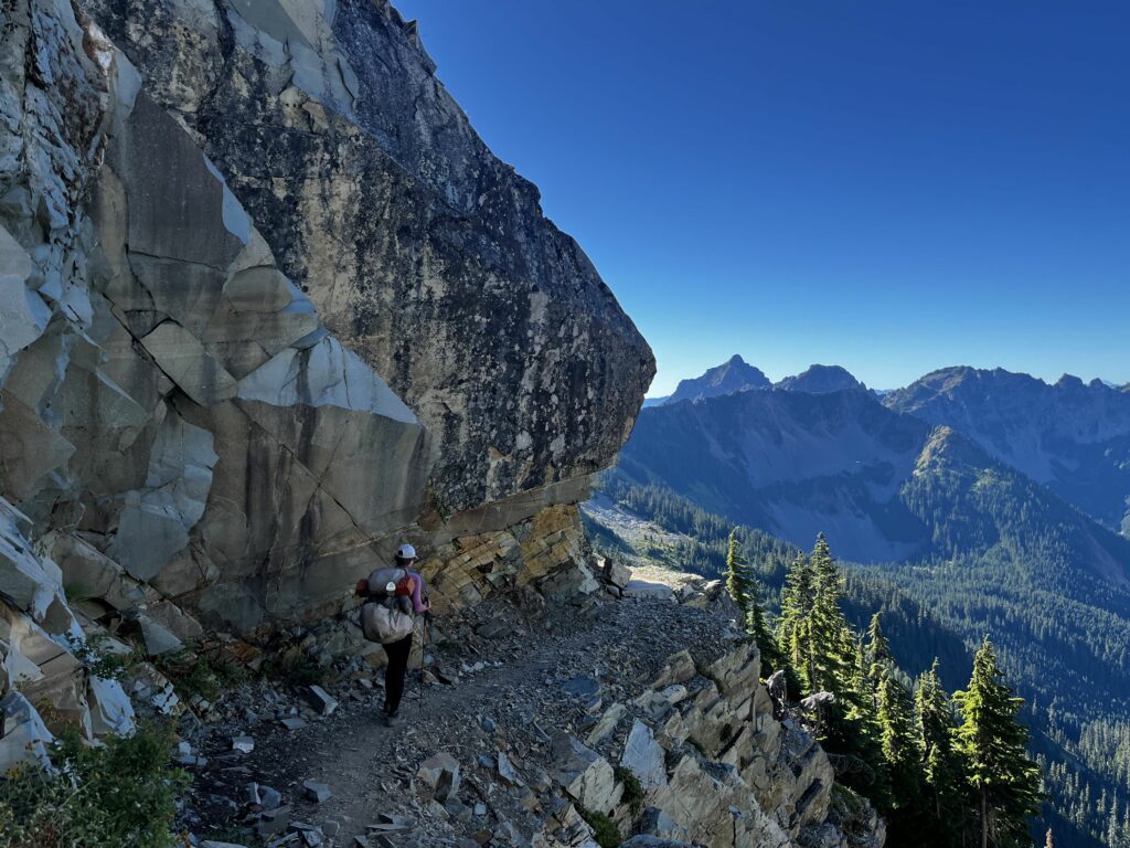 PCT Tag 100