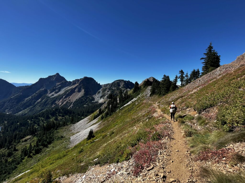 PCT Tag 100