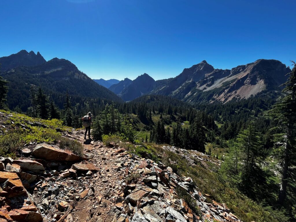 PCT Tag 100