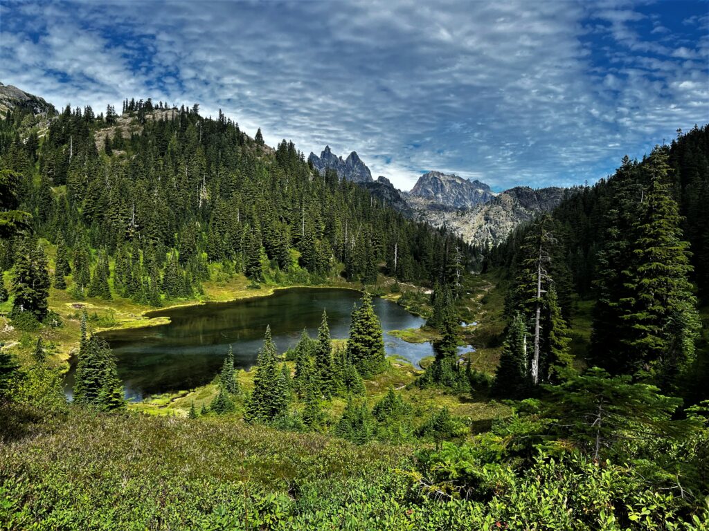 PCT Tag 100