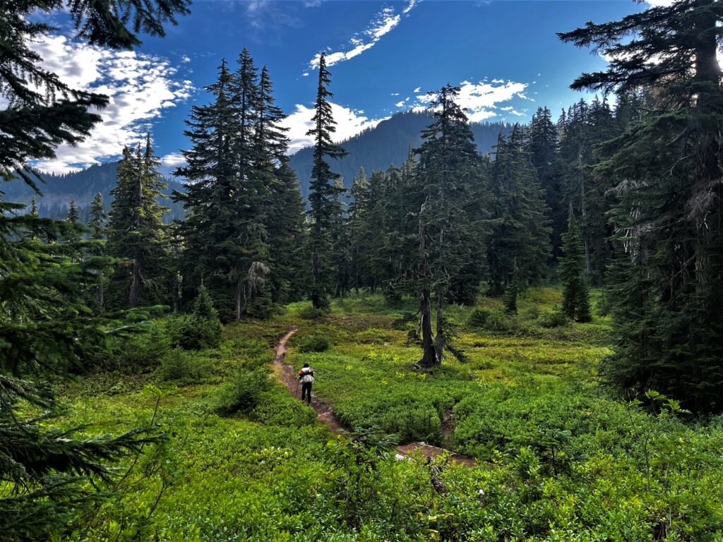 PCT Tag 103
