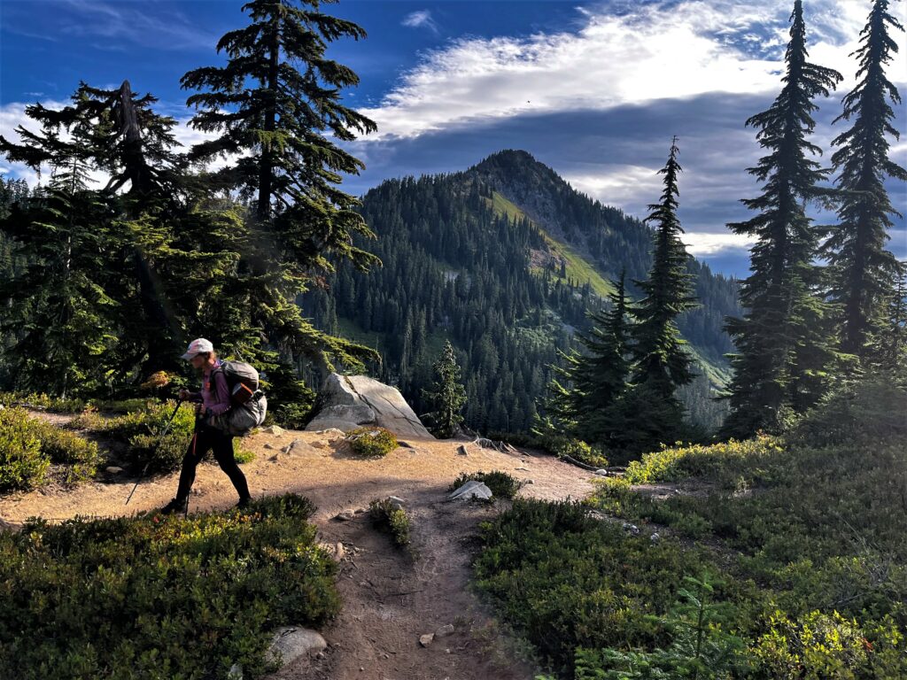 Auf dem Weg nach Stevens Pass