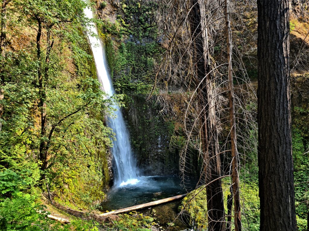 Zahlreiche Wasserfälle ergießen sich auf der Eagle Creek Alternative