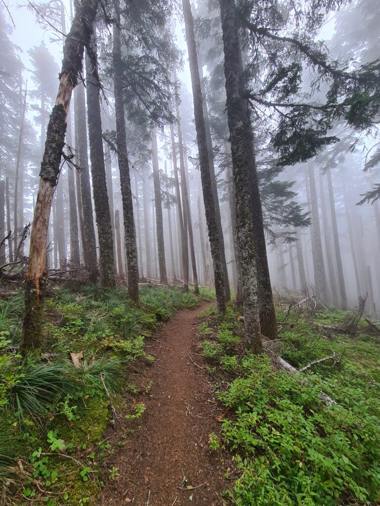 PCT Tag 105