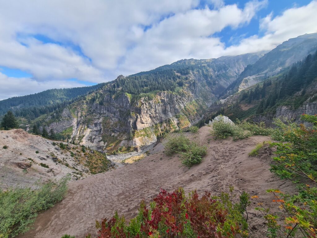 PCT Tag 106