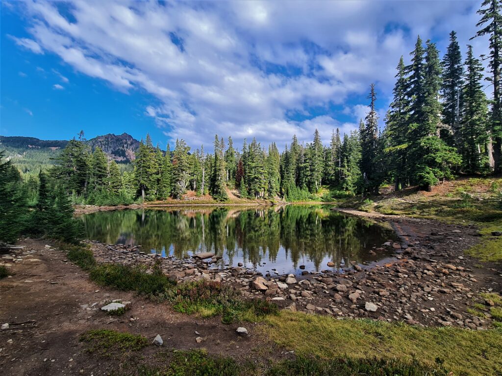 PCT Tag 111