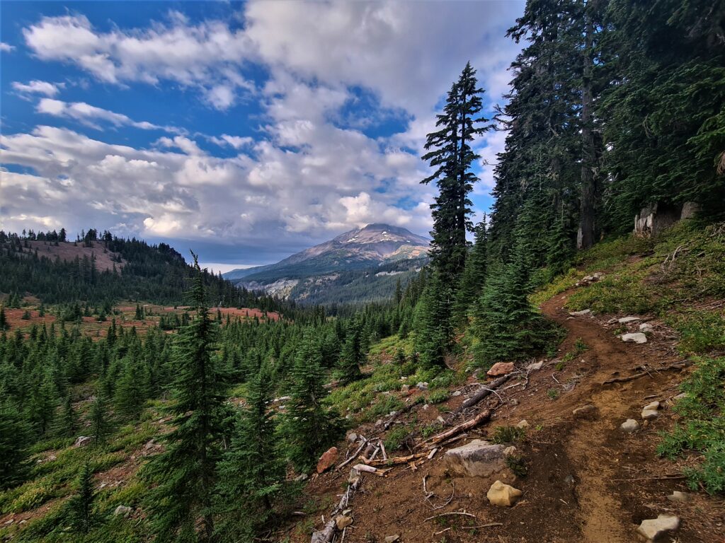 PCT Tag 111