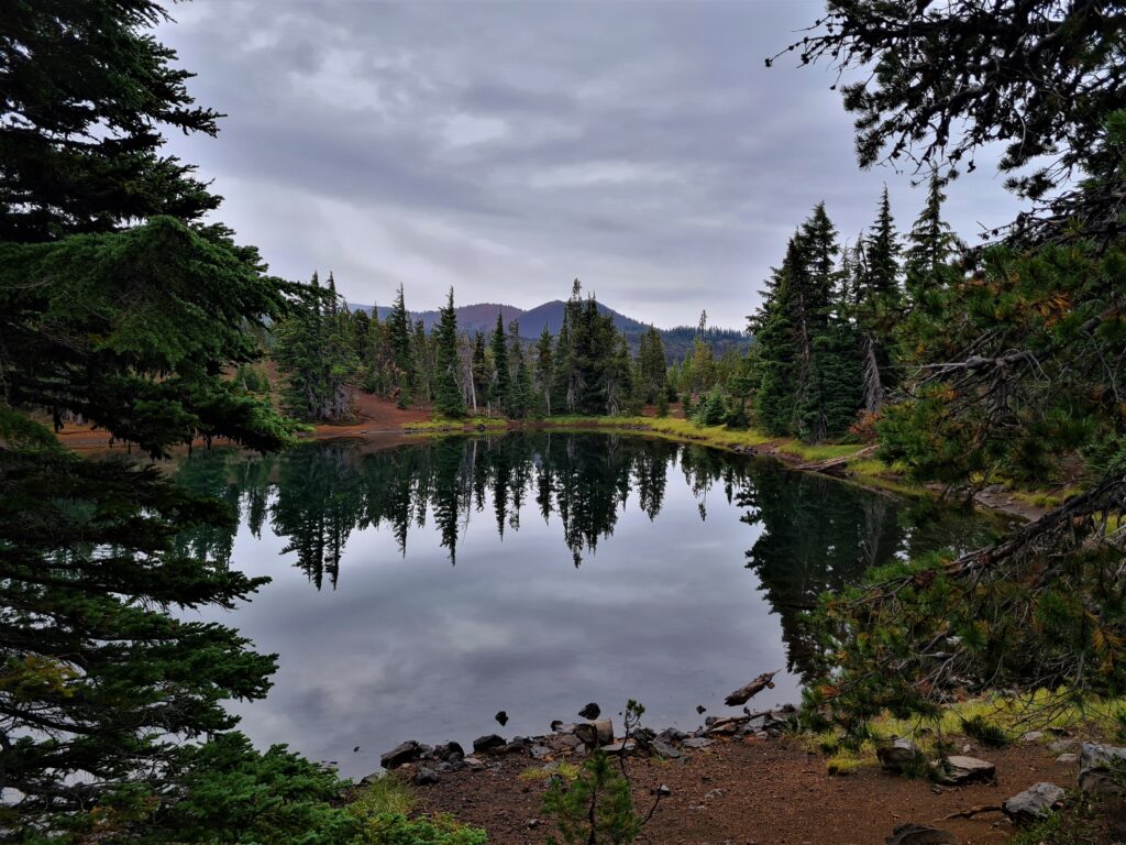 PCT Tag 113