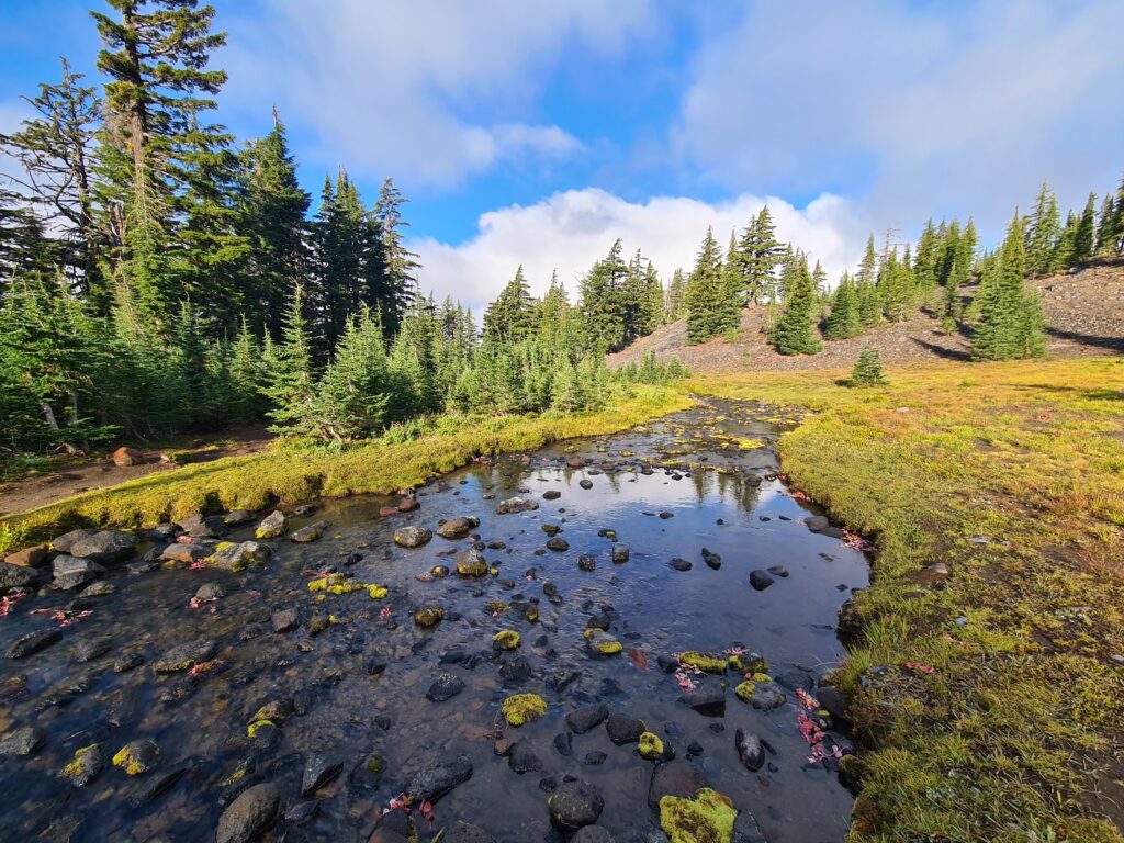 PCT Tag 114