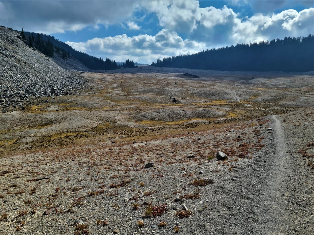 PCT Tag 114