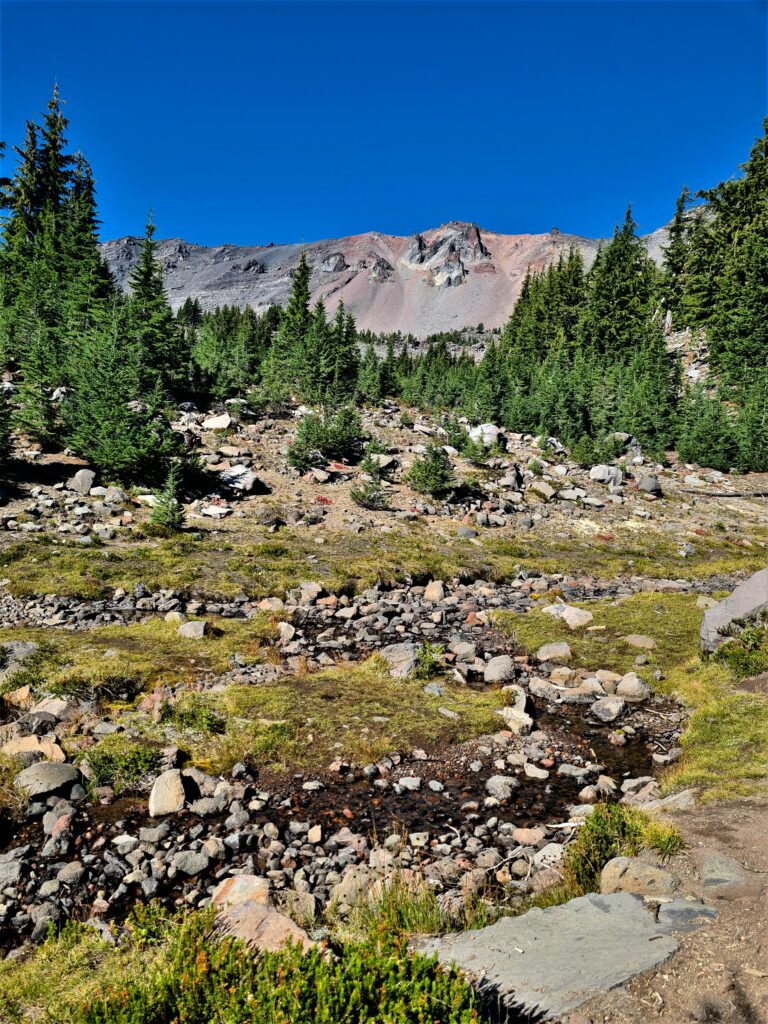 PCT Tag 116