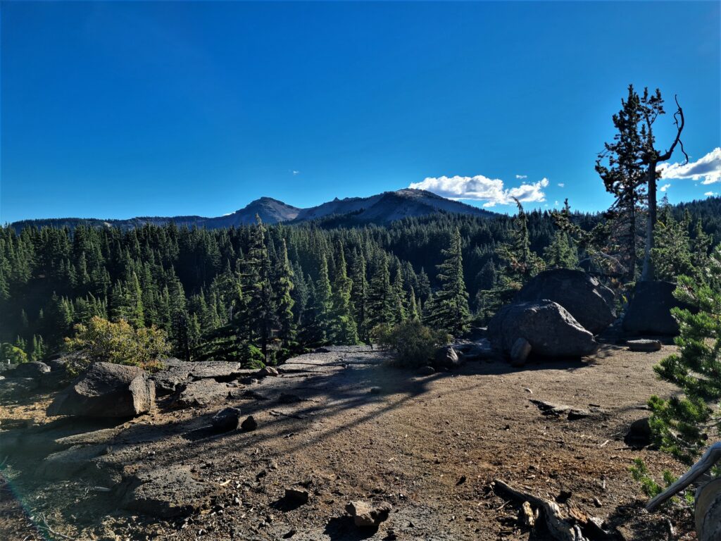 PCT Tag 117