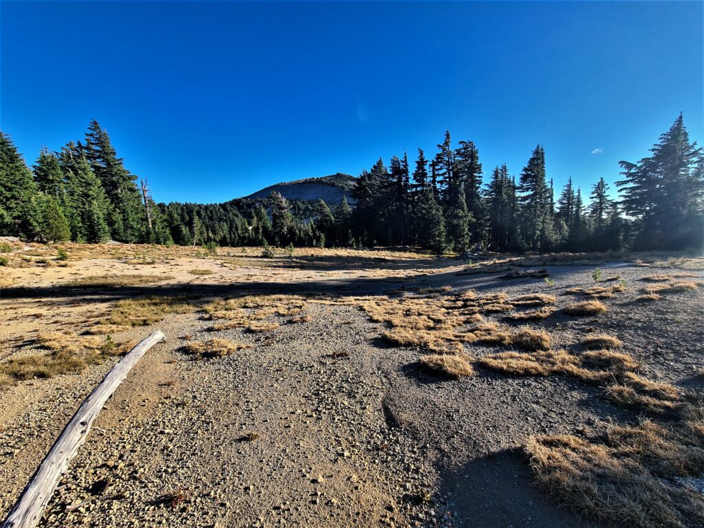 PCT Tag 117