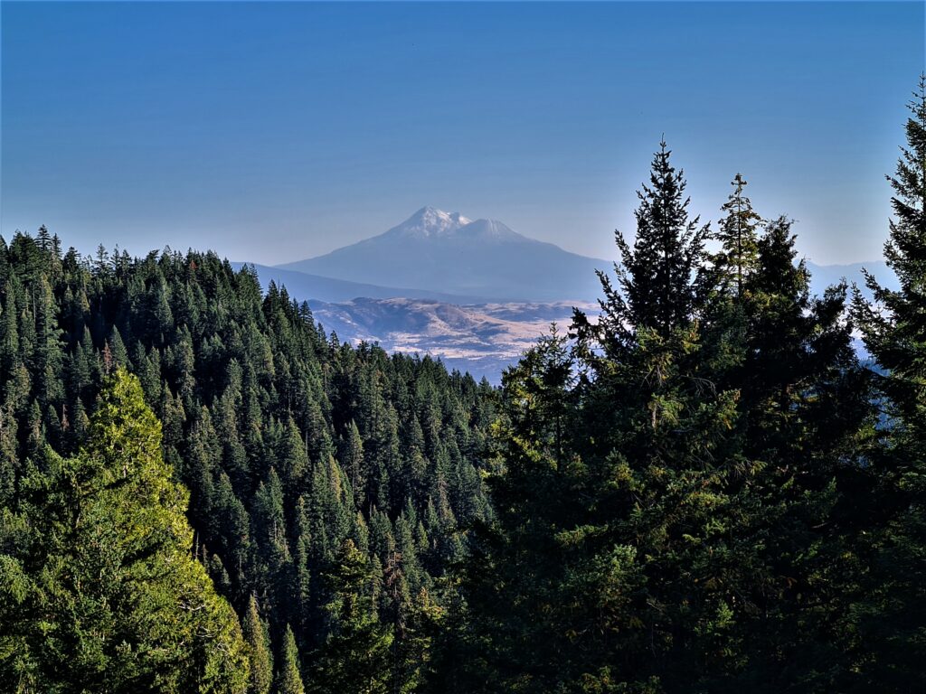 Mount Shasta