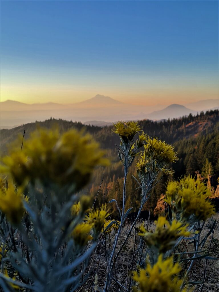Sonnenaufgang am Mount Shasta