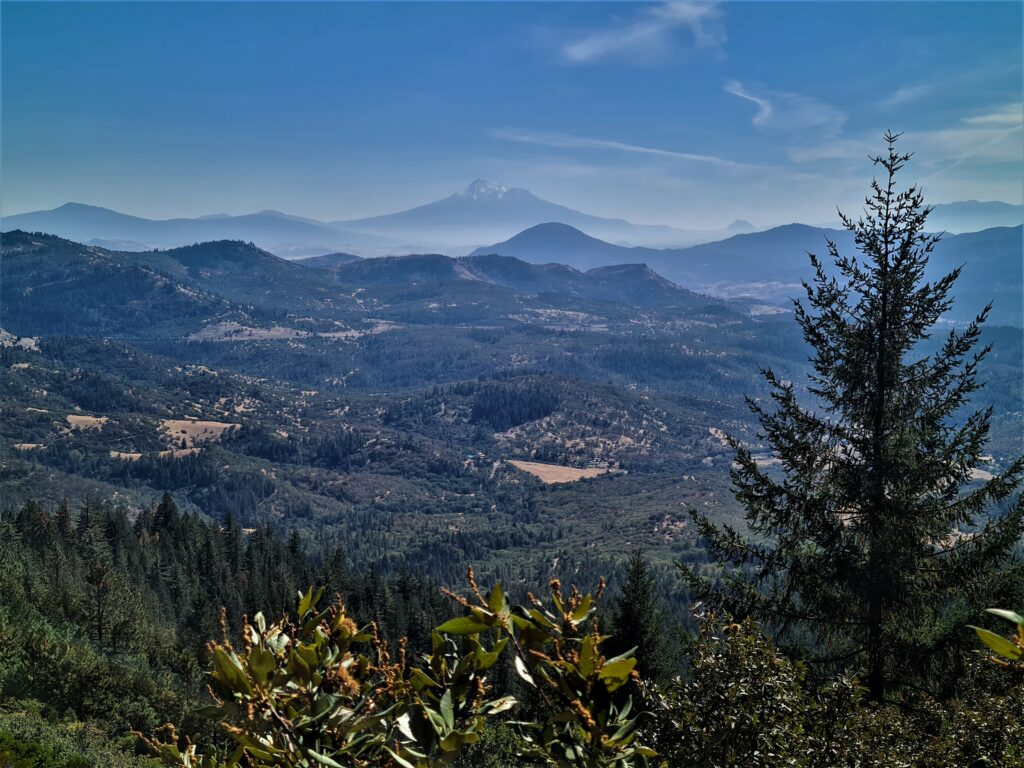 Blick zum Mount Shasta