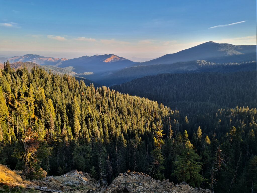 PCT Tag 127