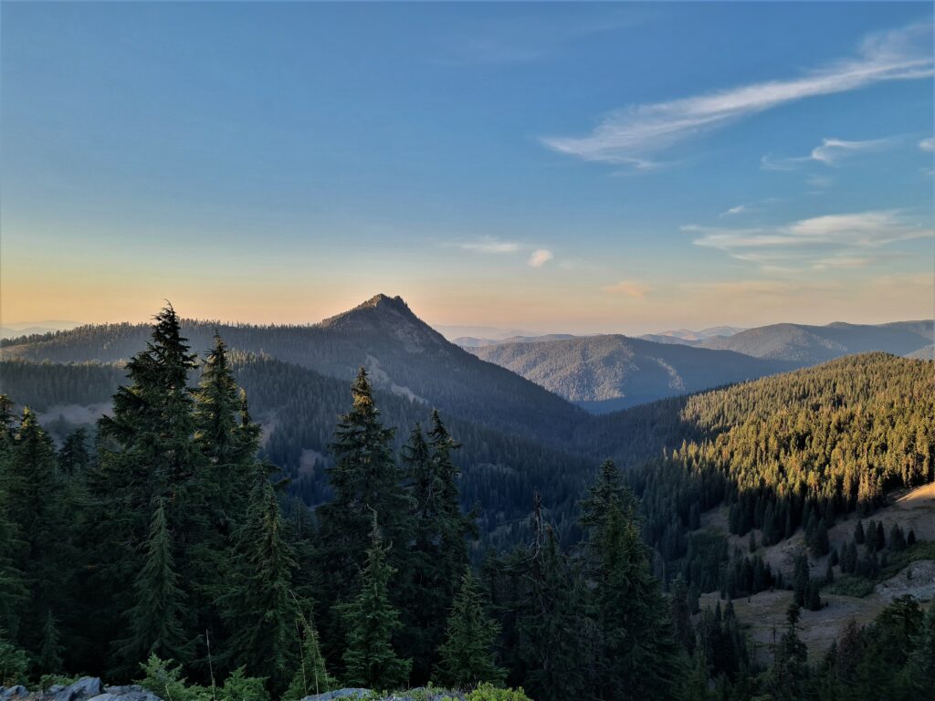 PCT Tag 127