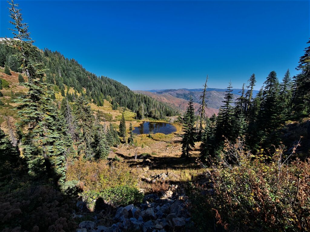 PCT Tag 128