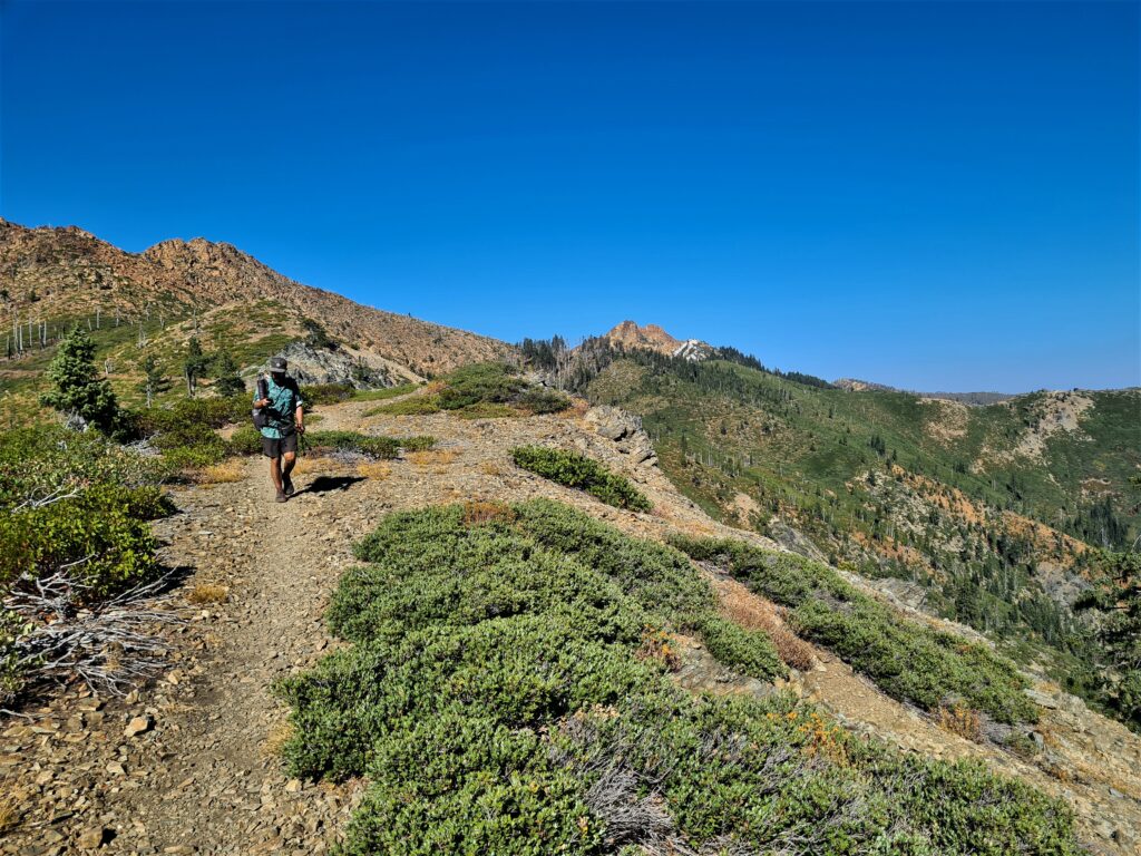 PCT Tag 128