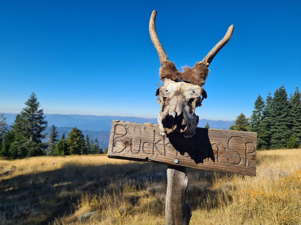 Buckhorn Spring