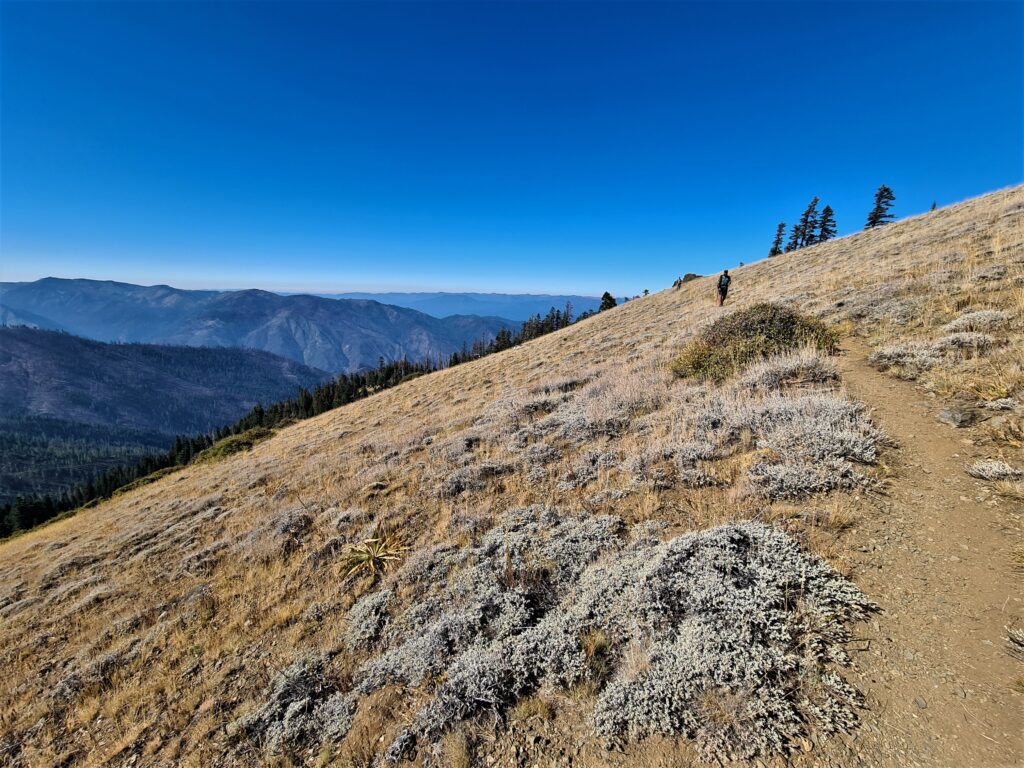 PCT Tag 130