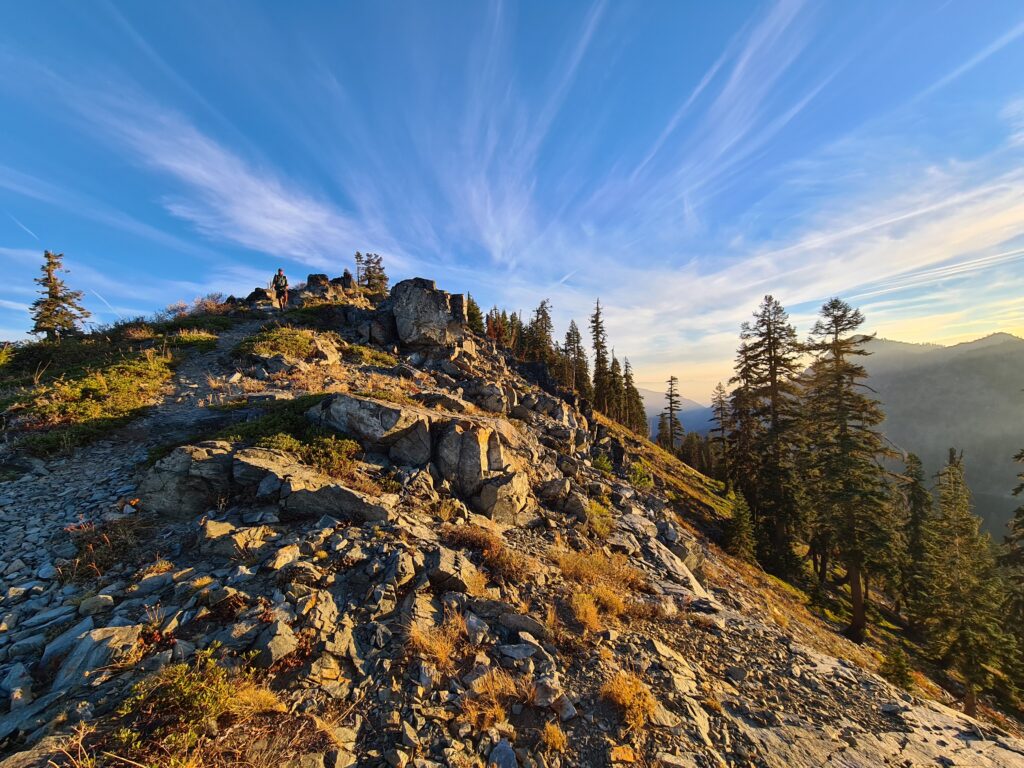 PCT Tag 131