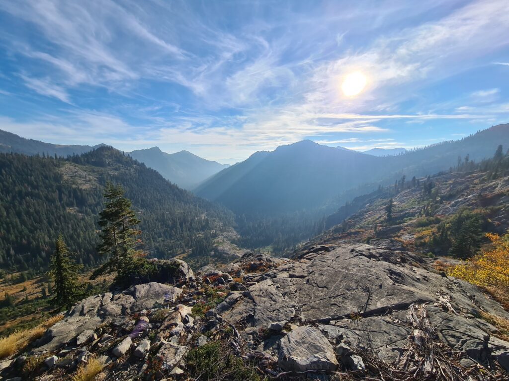 PCT Tag 131