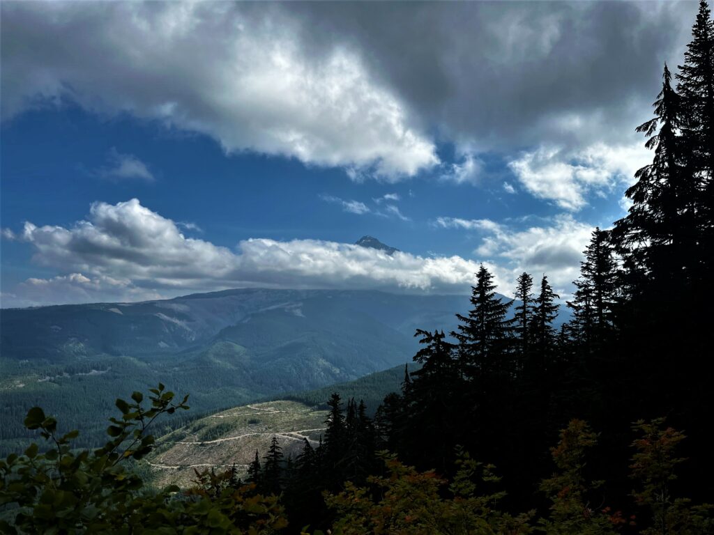 Blick zurück auf Mount Hood