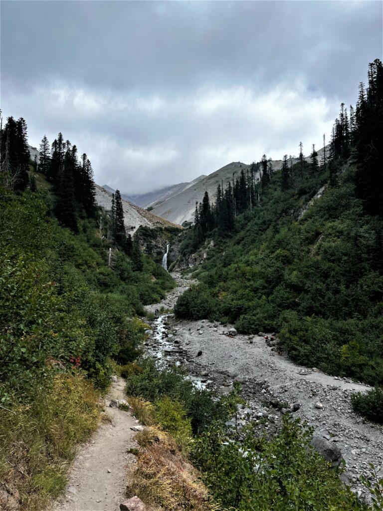 PCT Tag 106