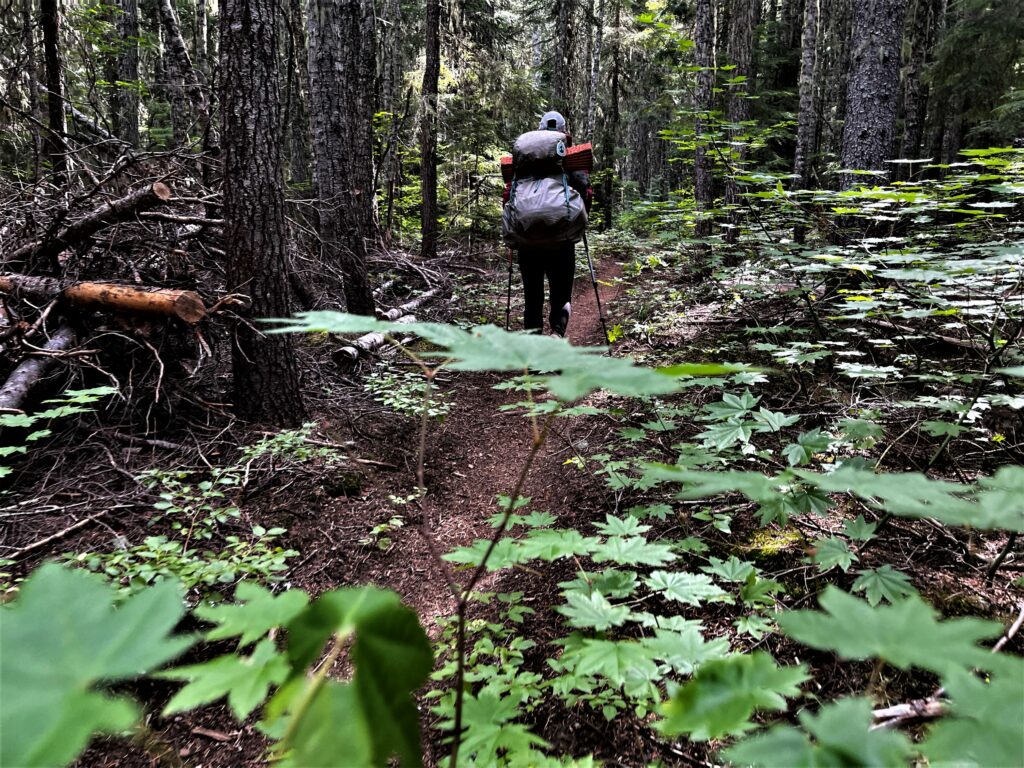 PCT Tag 109