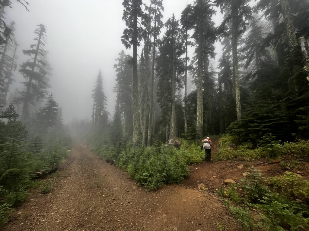 PCT Tag 110