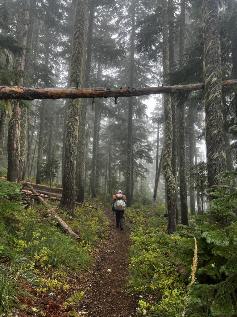 PCT Tag 110