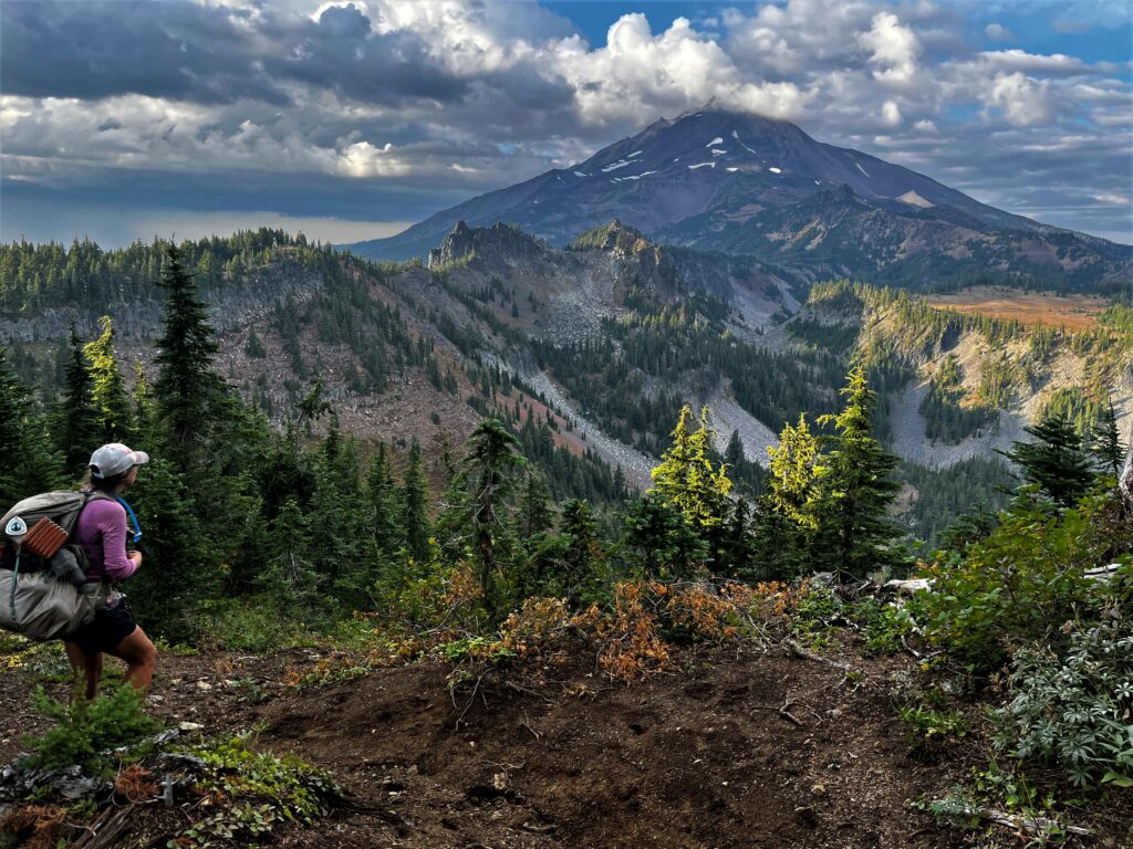 PCT Tag 111